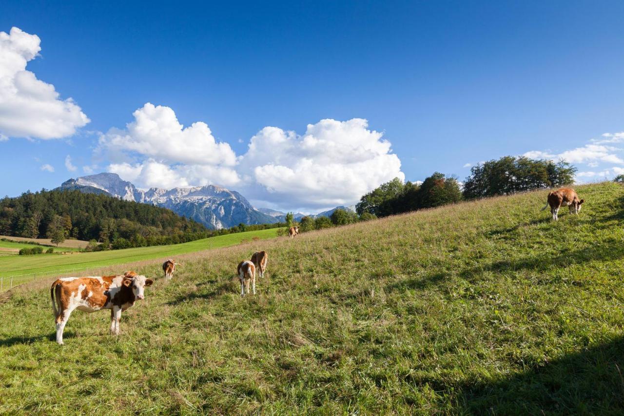 Pension Elvira Bischofswiesen Exteriér fotografie